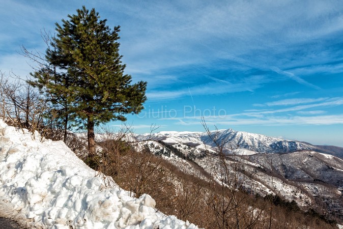foto paesaggi naturali | immagini di neve | immagini di montagna | immagini inverno |

