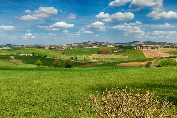 pianure del piemonte | colli piemonte | fotografie monferrato | immagini monferrato | casale | 