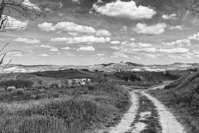 pianure del piemonte | colli piemonte | fotografie monferrato | immagini monferrato | 