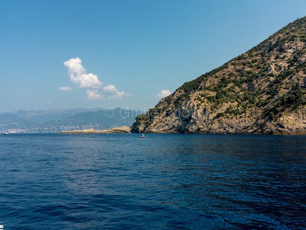 punta chiappa | genova | levante | immagini | foto | chiappa | baia | mare | 