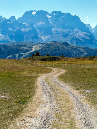 immagini trentino | trentino paesaggi stupendi | immagini dolomiti estate | dolomiti fotografia | 