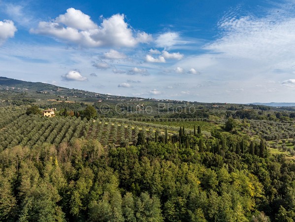 toscana | immagini | foto | colline | italia | montecatini | vinci |