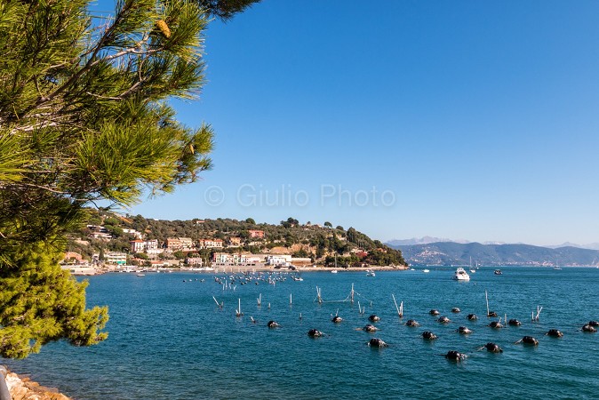 immagini portovenere la spezia | fotografie di portovenere | portovenere mare | 