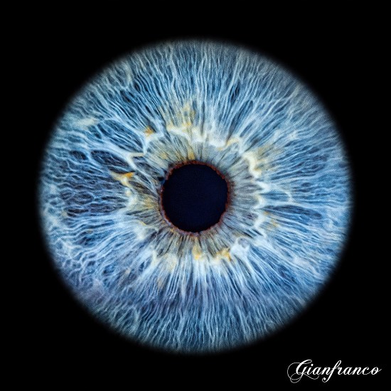 irisgen | iride | italia | genova | foto iride | giulio | iris | iride genova | iris galleria |